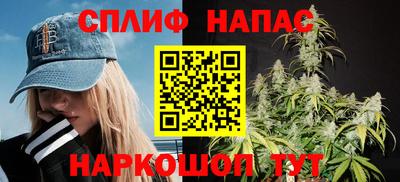 МДПВ Долгопрудный