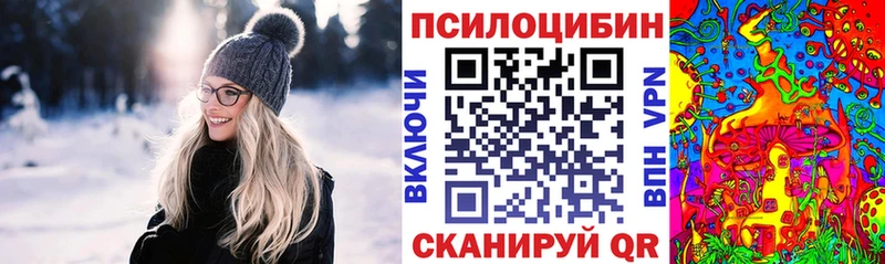 Галлюциногенные грибы Psilocybe  купить наркотик  Новокузнецк 