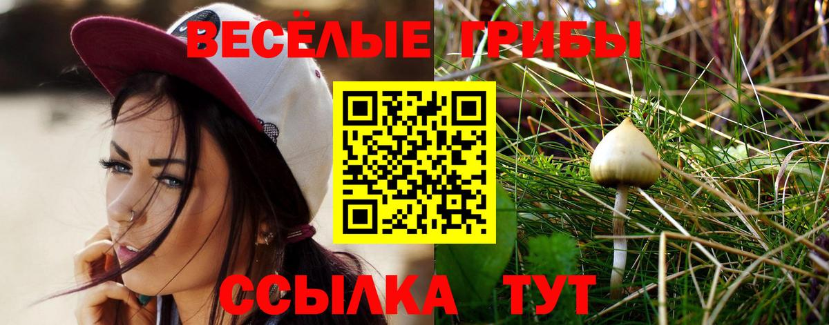 Новокузнецк  Псилоцибиновые грибы MAGIC MUSHROOMS  Вход с VPN  Галлюциногенные грибы MAGIC MUSHROOMS 