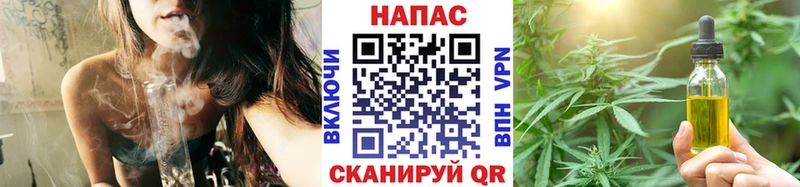 Конопля сатива  Новокузнецк 